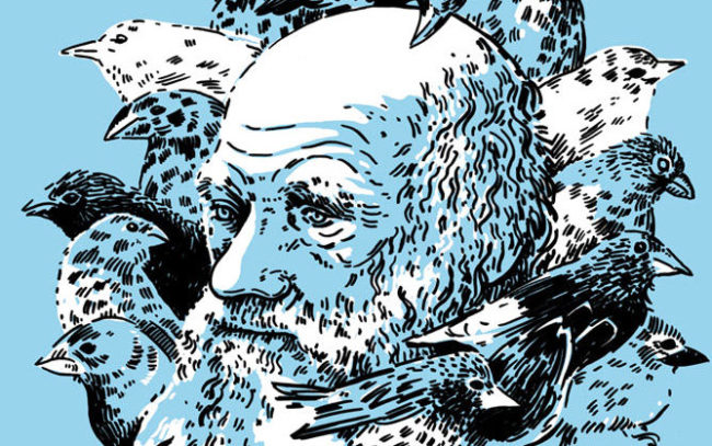 darwin